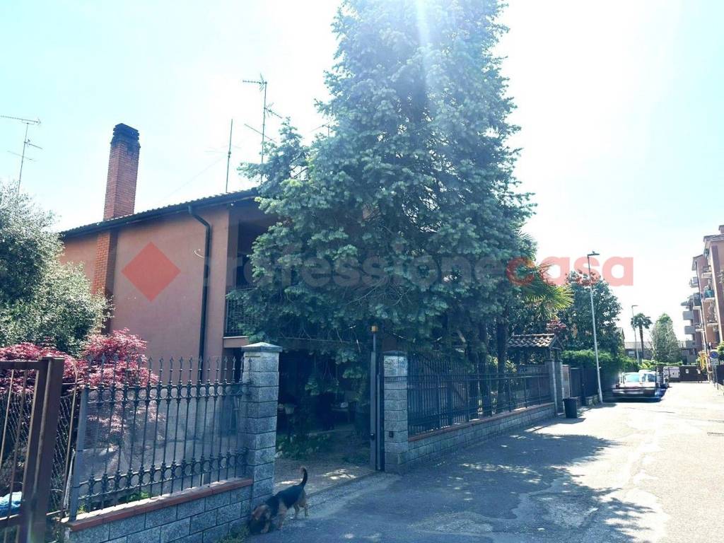 immagine annuncio 11 di 15
