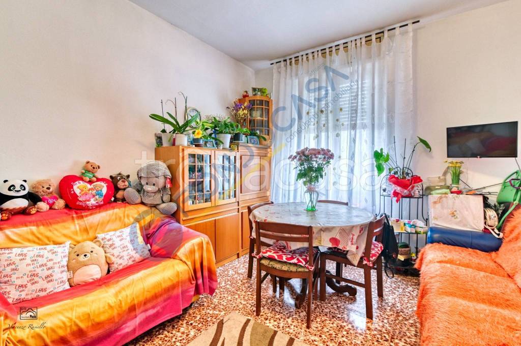 immagine annuncio 4 di 14