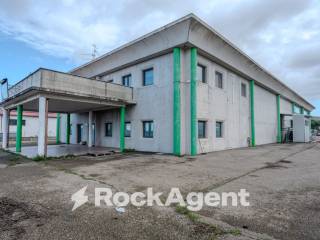 Capannone industriale in affitto ad acquapendente via corradino d'ascanio