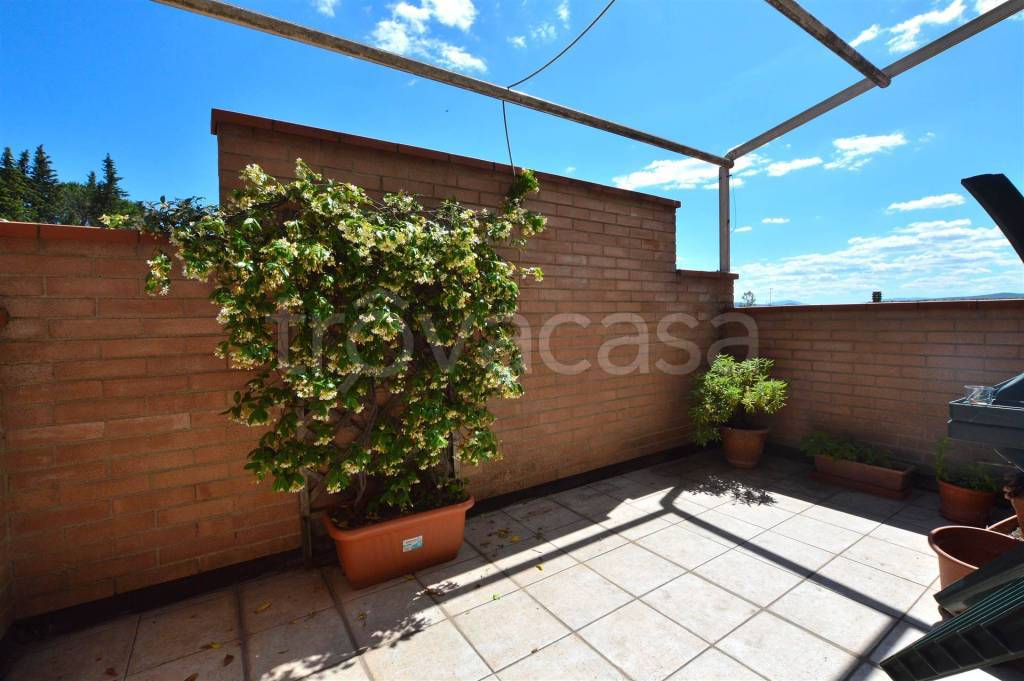 immagine annuncio 4 di 6