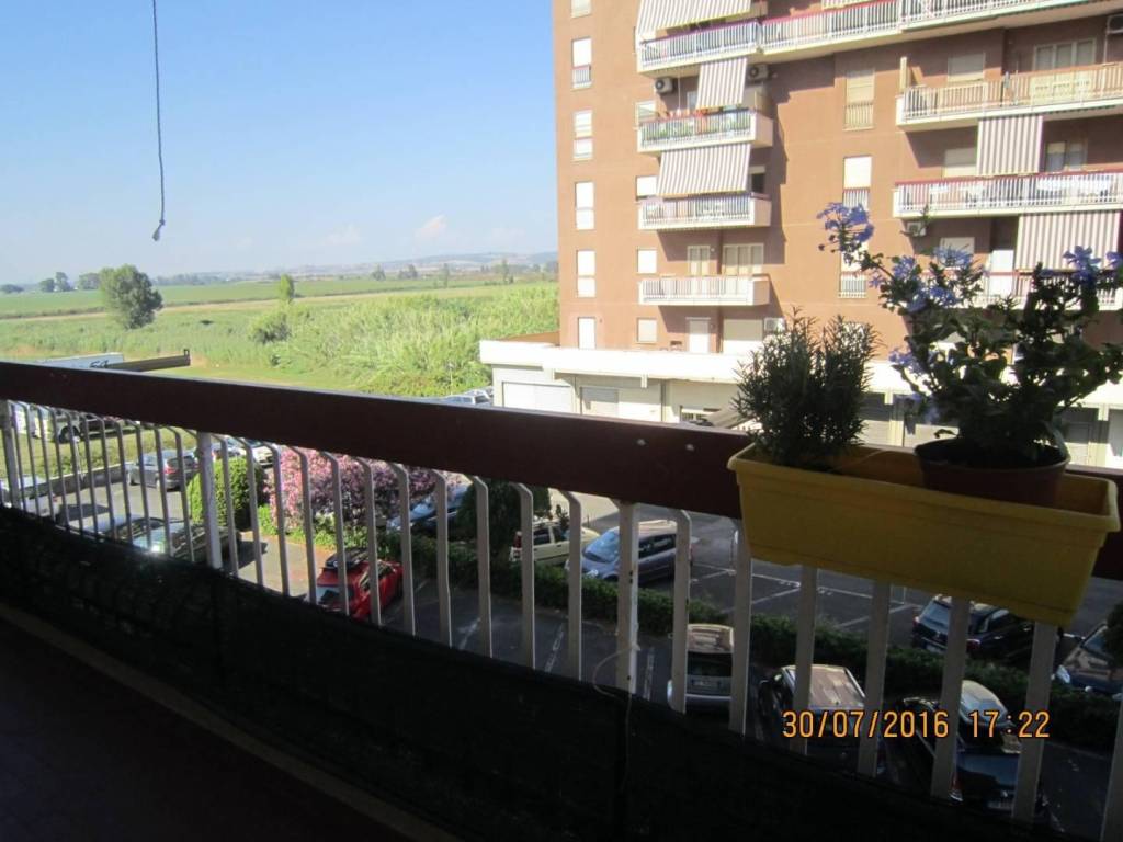immagine annuncio 7 di 14