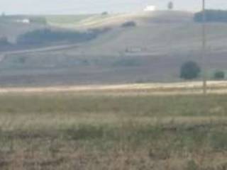 Terreno agricolo all'asta a genzano di lucania contrada cafiero