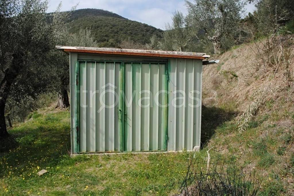 immagine annuncio 6 di 11