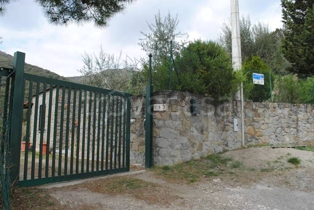 immagine annuncio 8 di 11