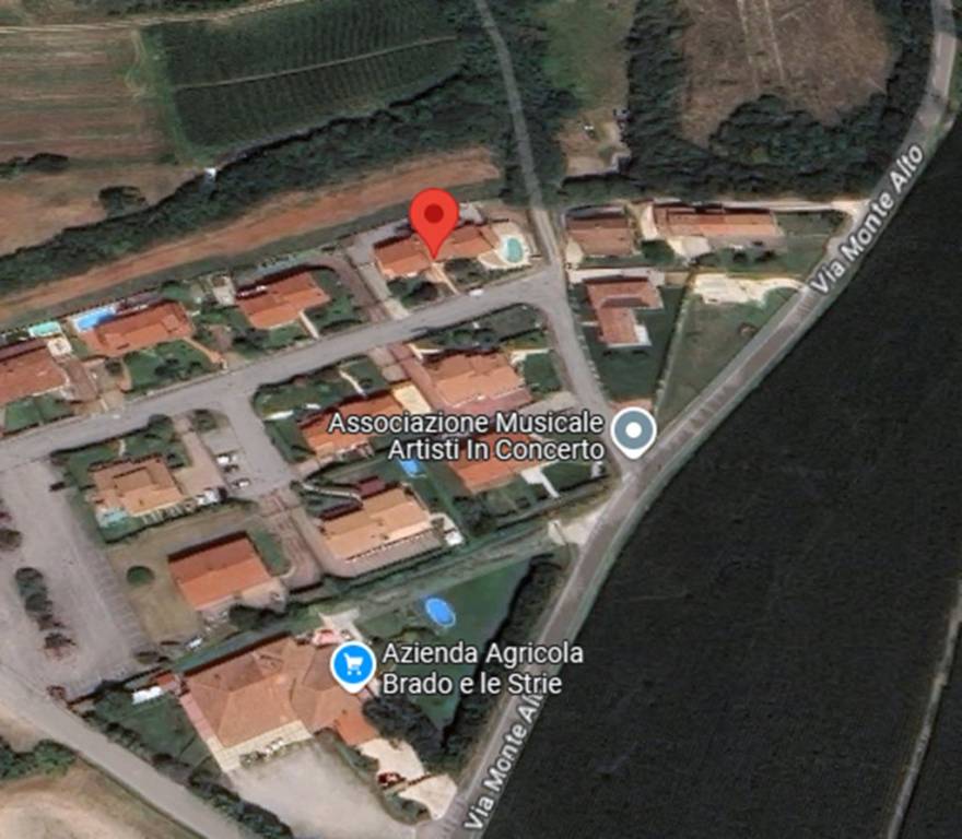 immagine annuncio 2 di 12