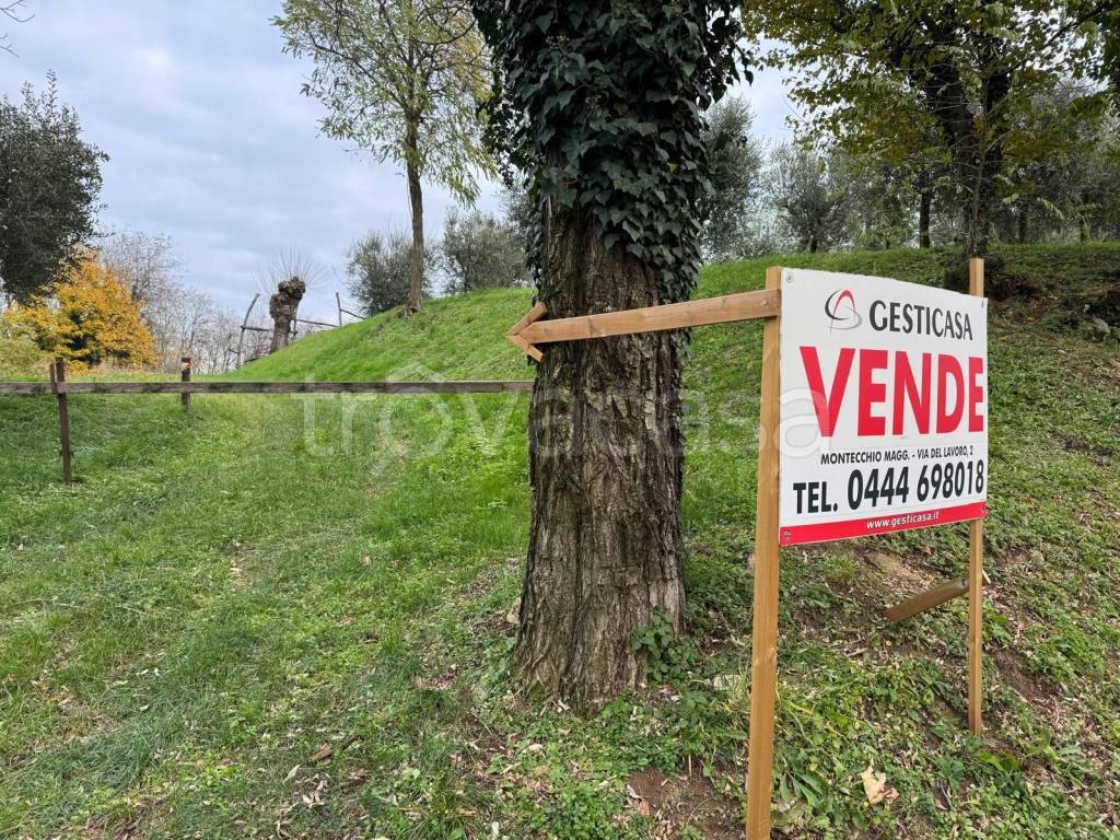 immagine annuncio 4 di 6