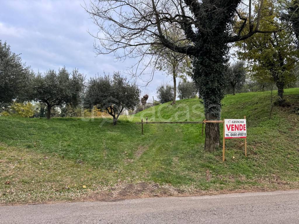 immagine annuncio 5 di 6