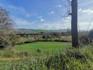 Terreno agricolo all'asta a sant'elpidio a mare strada molino 1