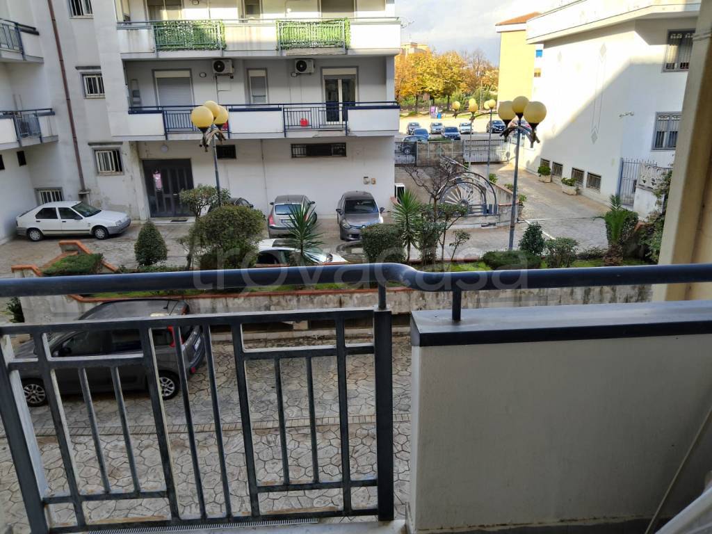 immagine annuncio 9 di 14