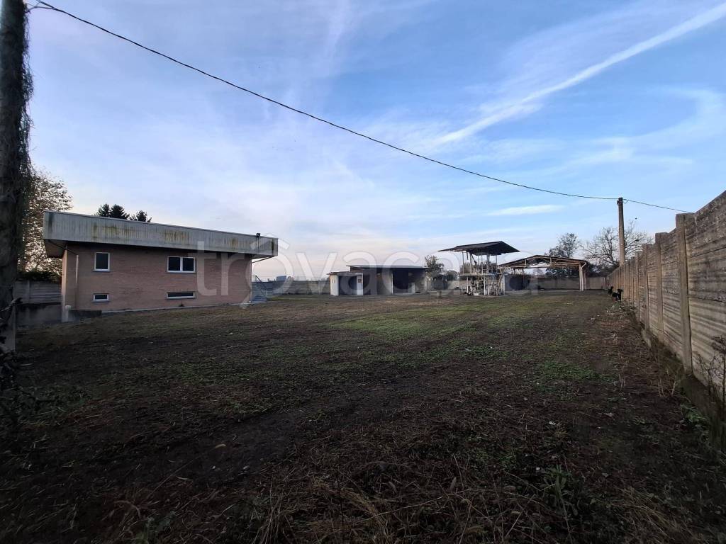 immagine annuncio 3 di 15
