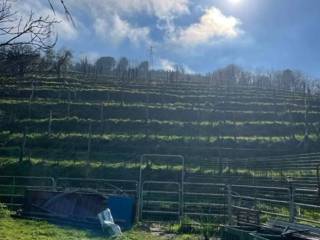 Terreno agricolo in vendita a carrara 