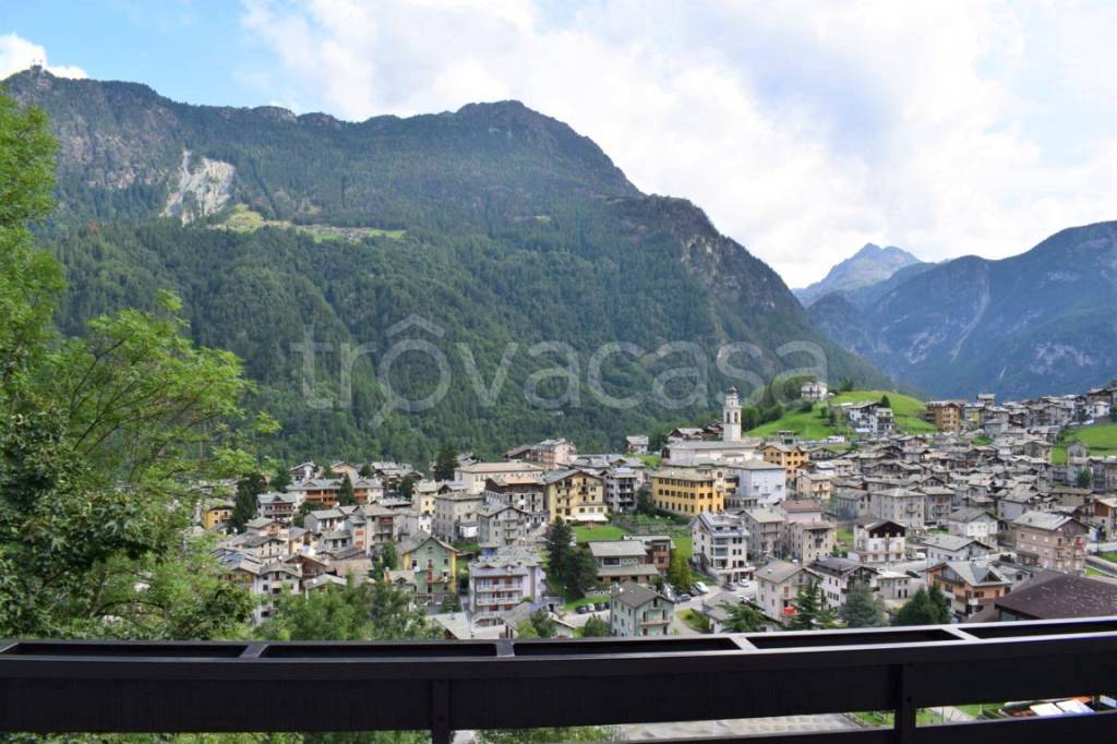 immagine annuncio 10 di 14