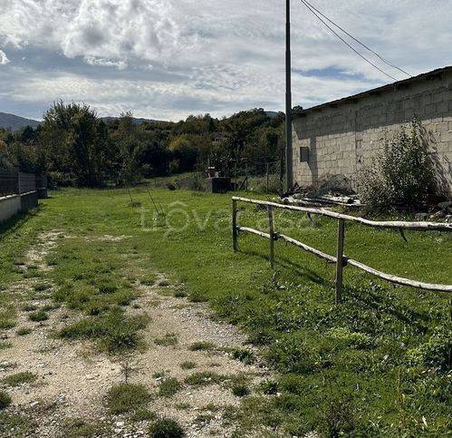 immagine annuncio 3 di 11