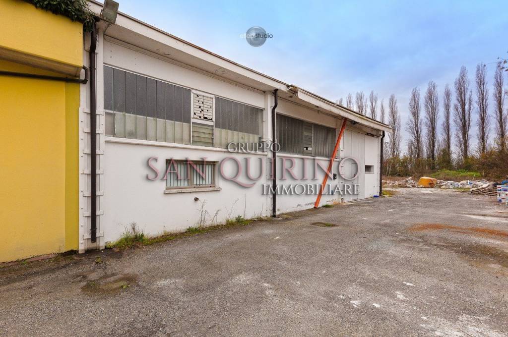 immagine annuncio 7 di 12