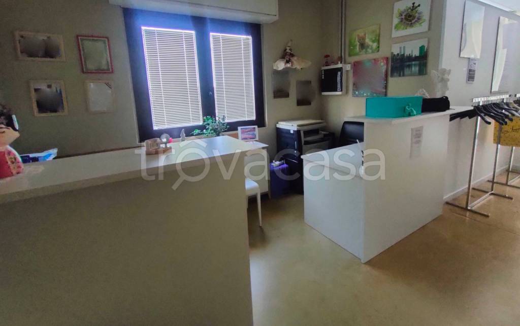 immagine annuncio 2 di 11