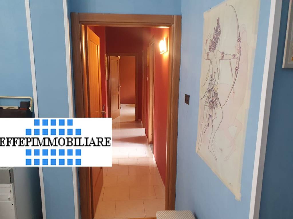 immagine annuncio 11 di 14