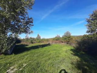 Terreno agricolo all'asta a vinchiaturo contrada vonzi