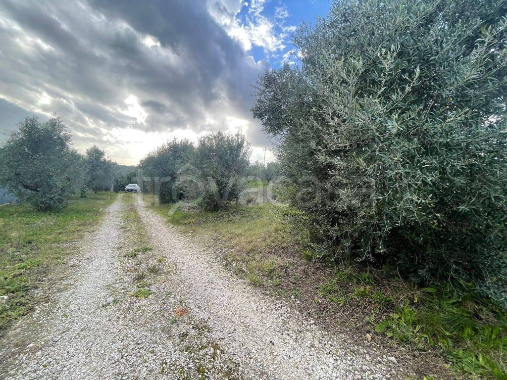 immagine annuncio 5 di 6