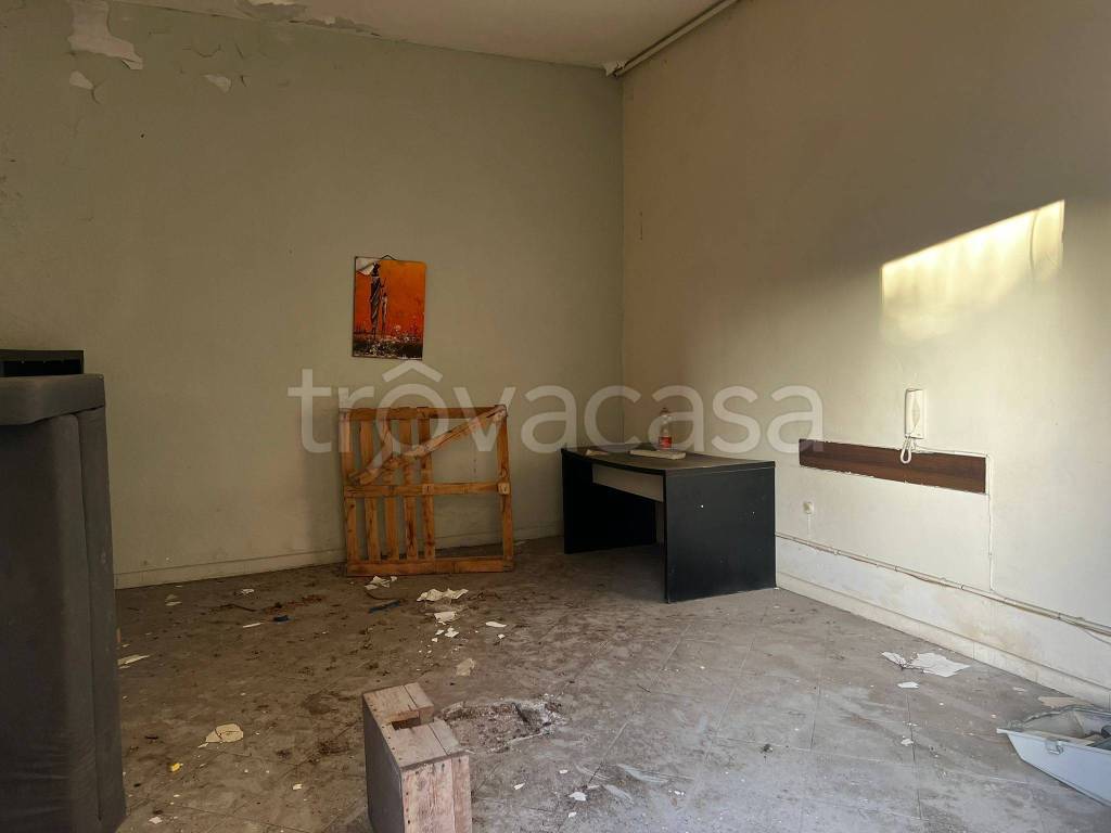 immagine annuncio 12 di 13