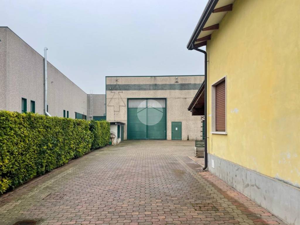 immagine annuncio 7 di 15