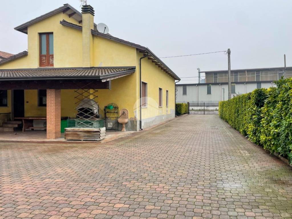 immagine annuncio 11 di 15