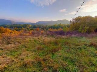 Terreno agricolo all'asta a pietrabbondante via theodor mommsen