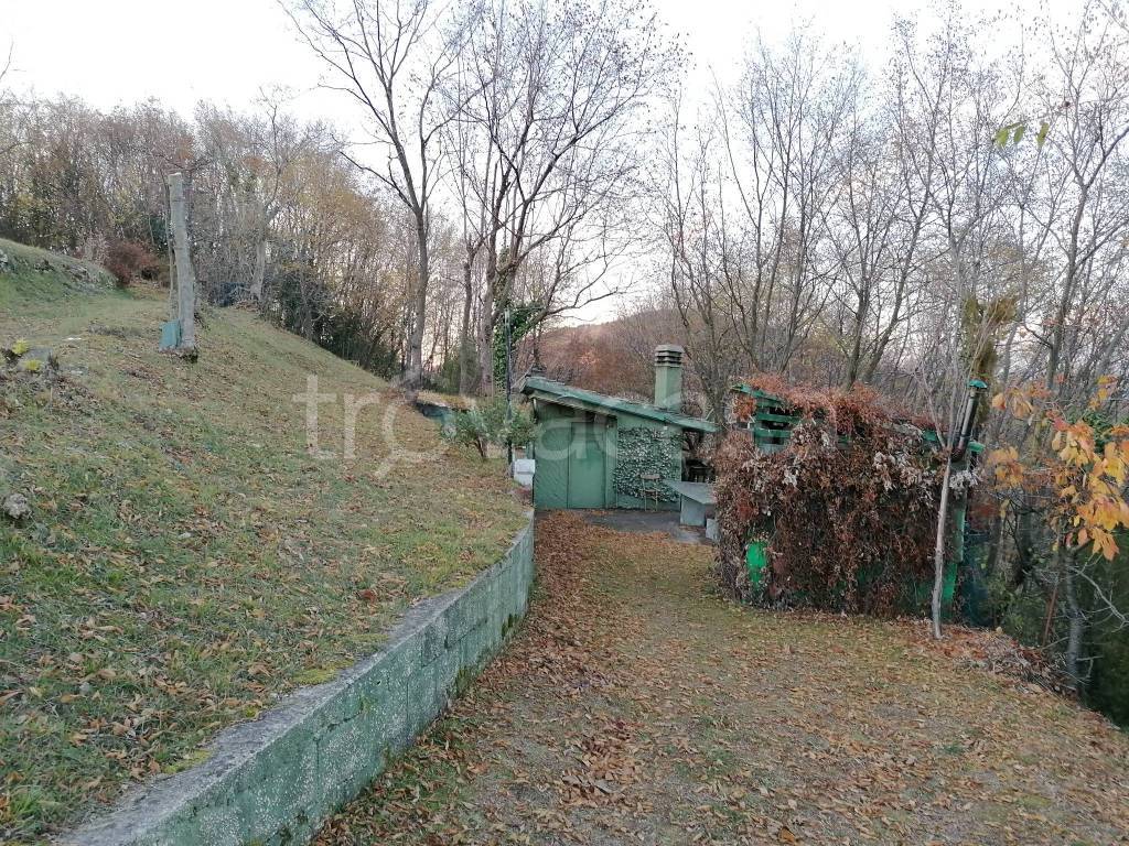immagine annuncio 2 di 14