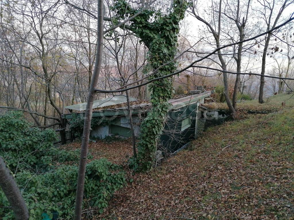 immagine annuncio 4 di 14
