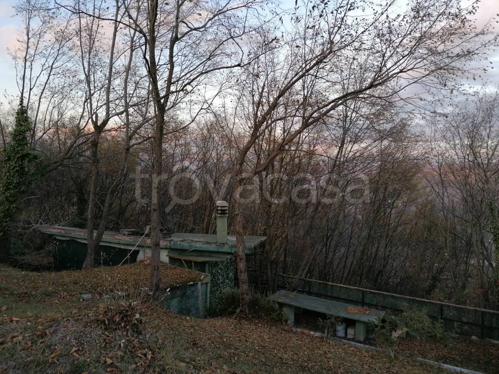 immagine annuncio 6 di 14