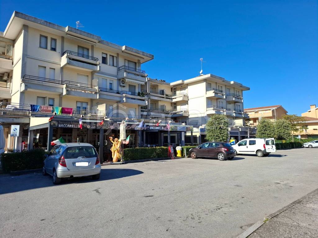 immagine annuncio 1 di 14