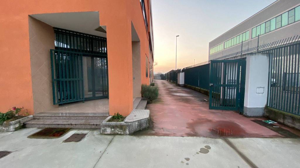immagine annuncio 11 di 13