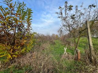 Terreno agricolo in vendita a san colombano al lambro via madonna dei monti