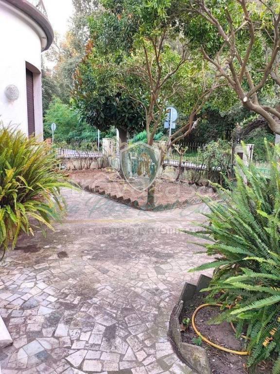 immagine annuncio 4 di 14