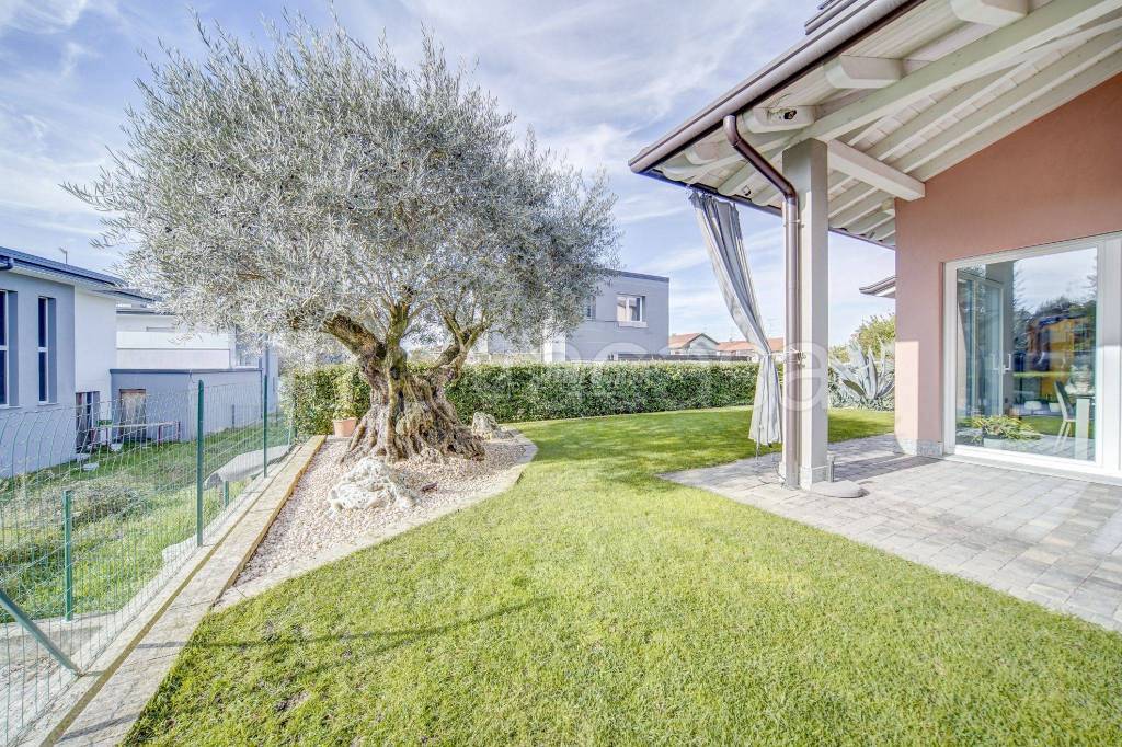 immagine annuncio 1 di 15