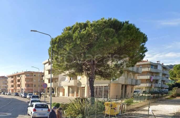 immagine annuncio 2 di 6