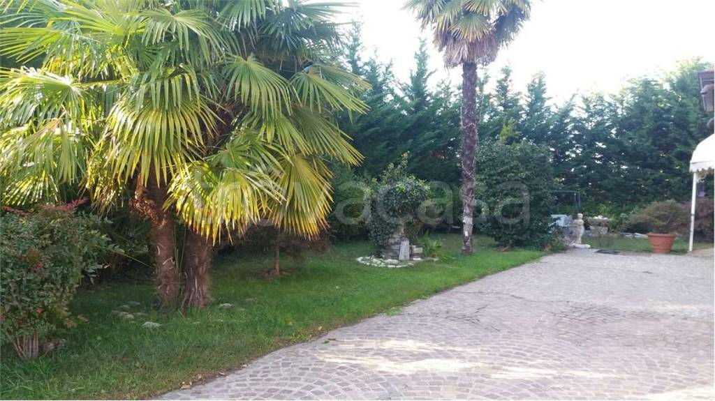 immagine annuncio 1 di 7