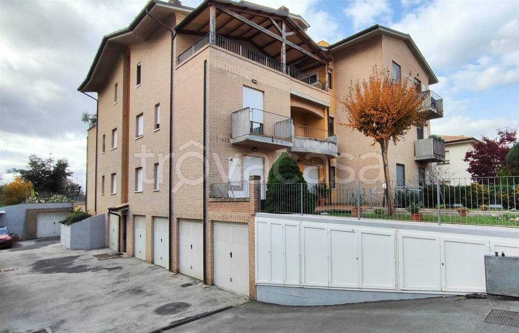 immagine annuncio 12 di 14
