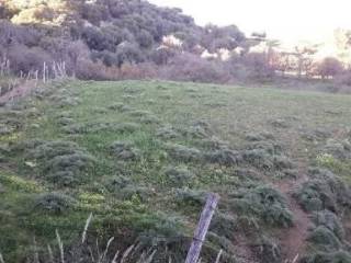 Terreno agricolo all'asta a calascibetta agro di calascibetta, snc