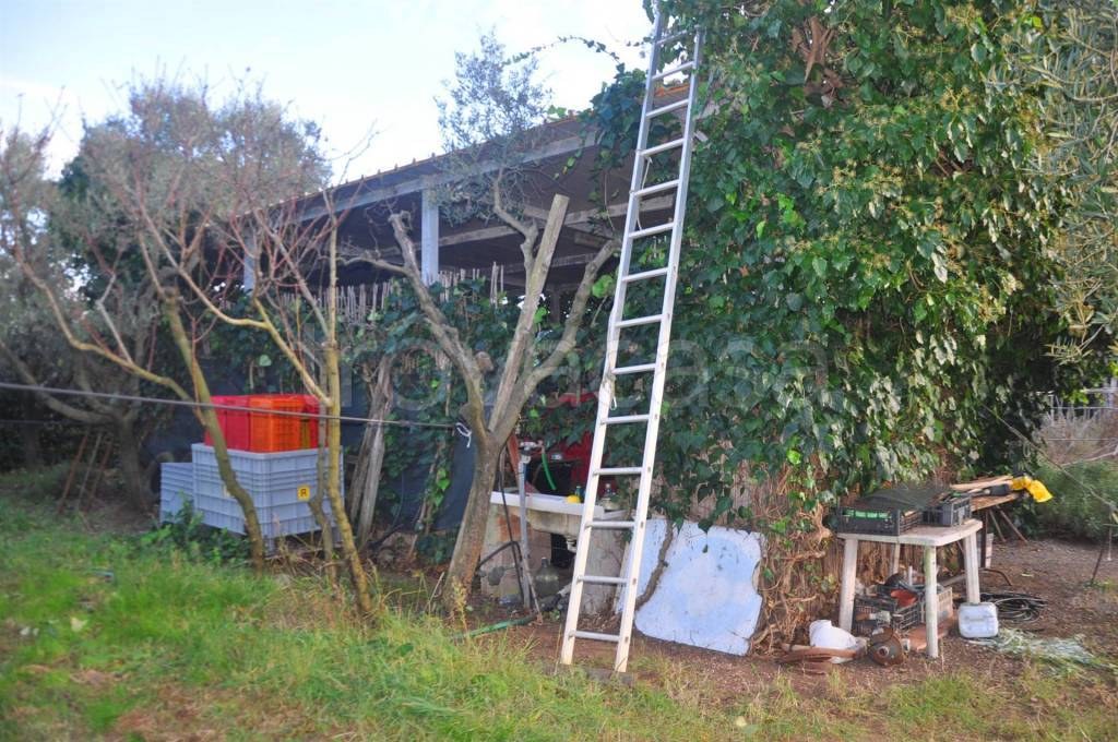 immagine annuncio 2 di 7