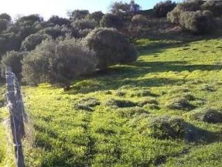 Terreno agricolo all'asta a calascibetta agro di calascibetta - enna, snc