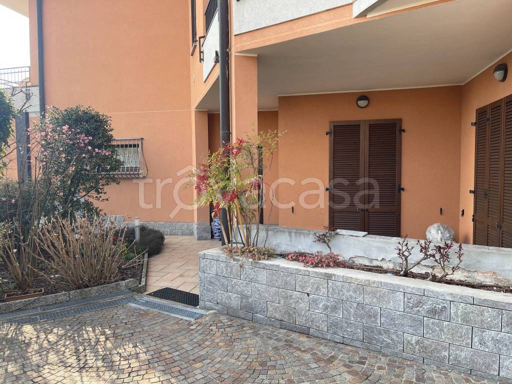 immagine annuncio 2 di 15