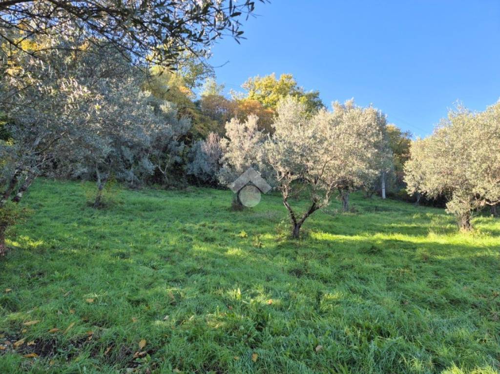 immagine annuncio 2 di 4