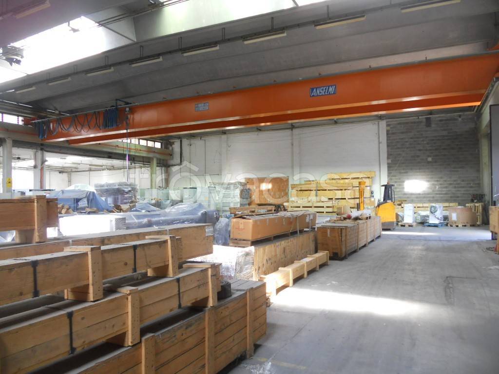 immagine annuncio 9 di 15