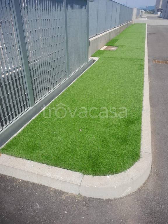 immagine annuncio 2 di 7