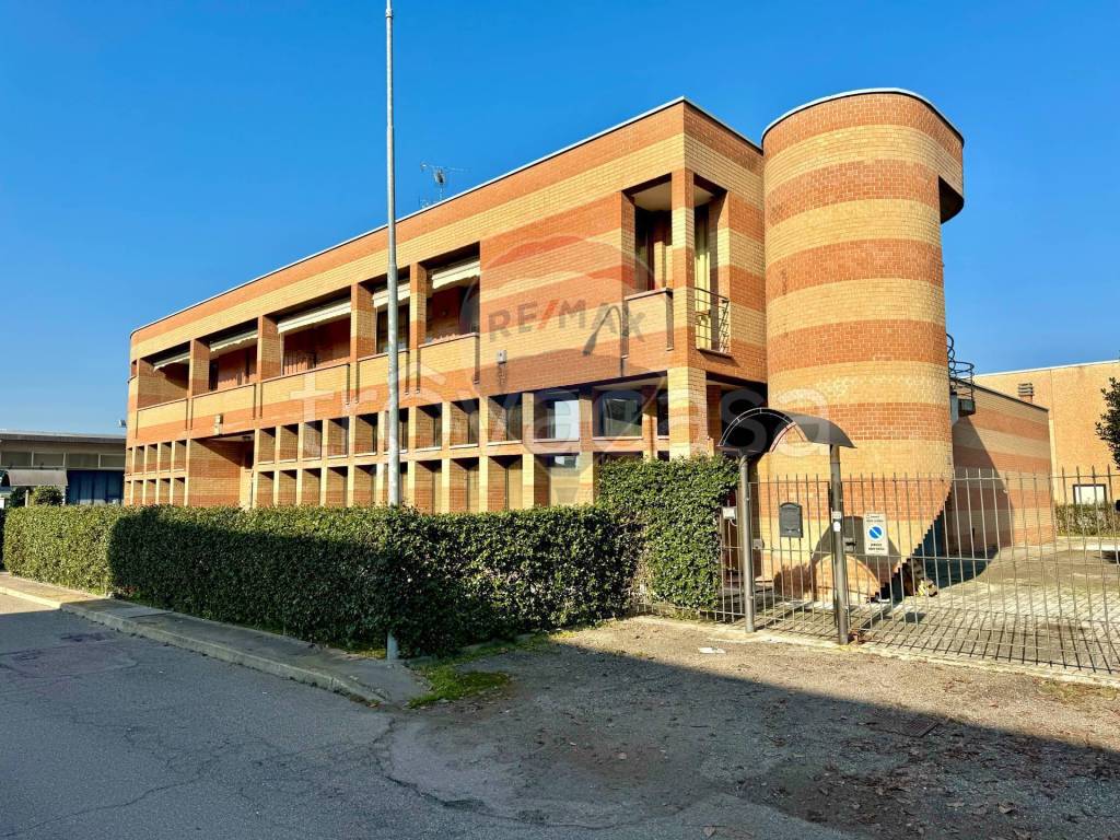 immagine annuncio 5 di 15
