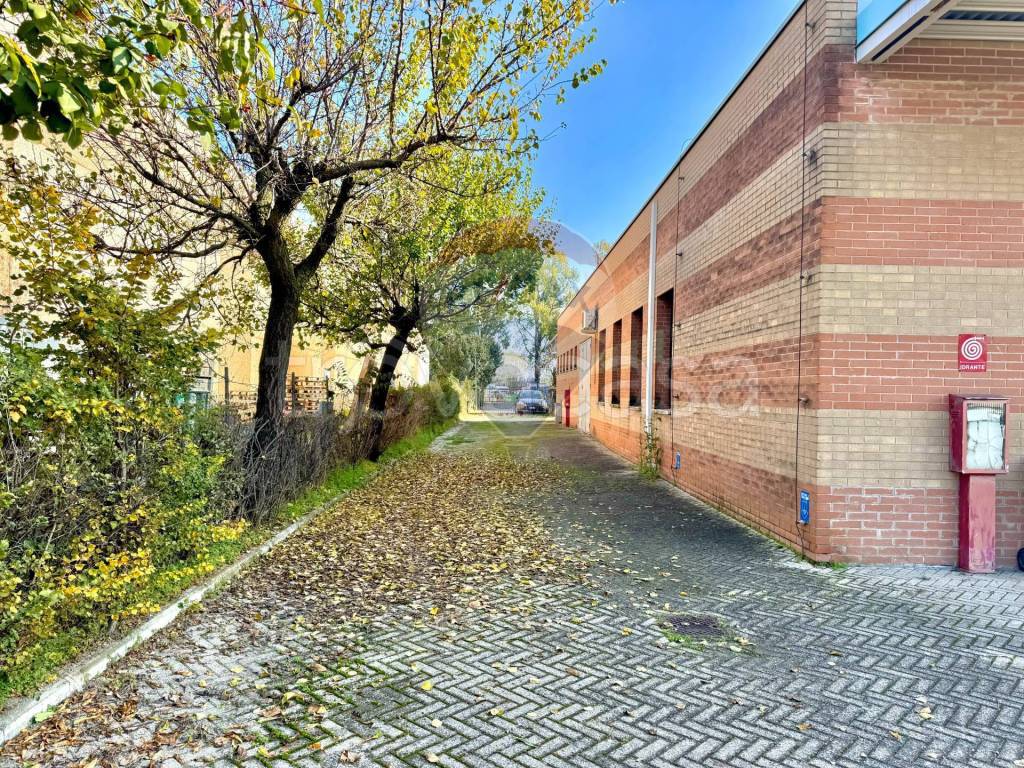 immagine annuncio 13 di 15