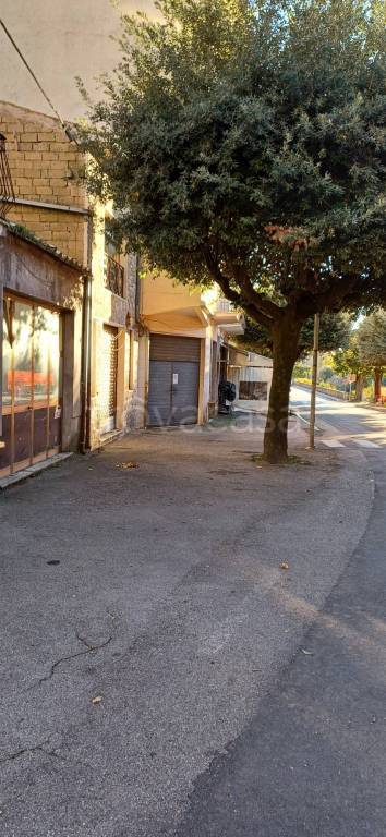 immagine annuncio 11 di 12