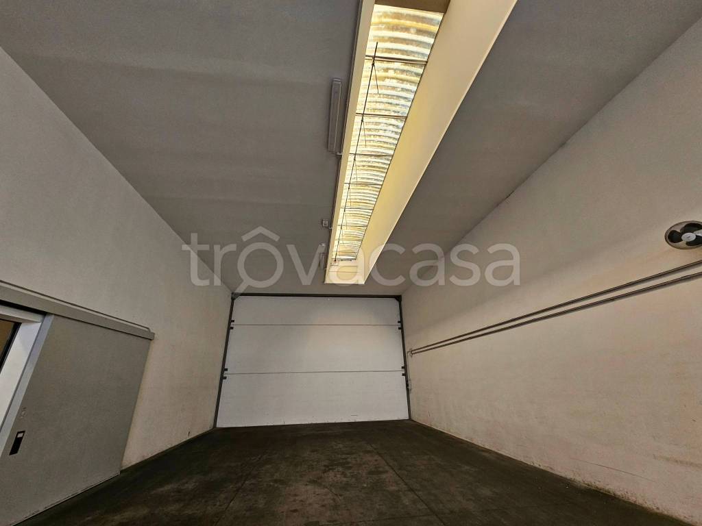 immagine annuncio 7 di 14