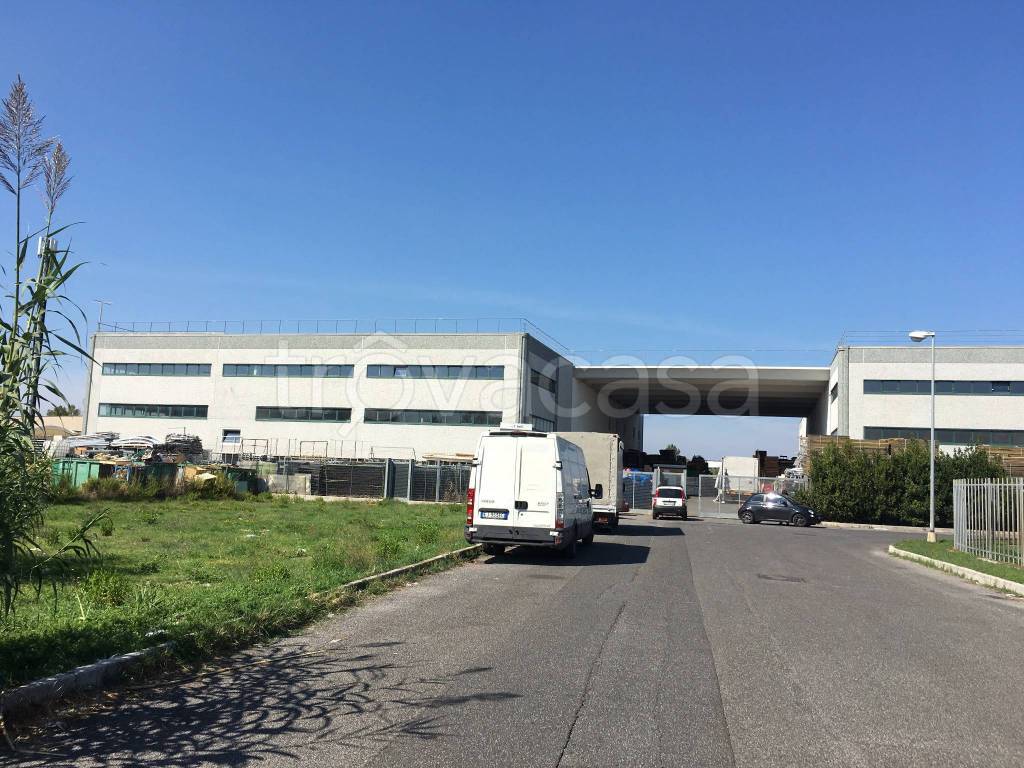 immagine annuncio 2 di 8