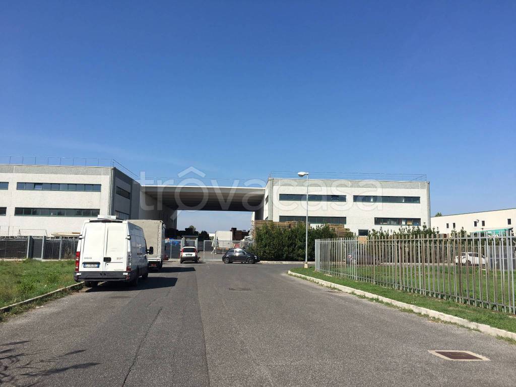 immagine annuncio 3 di 8